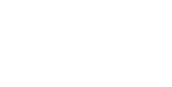 Logo Einstein1